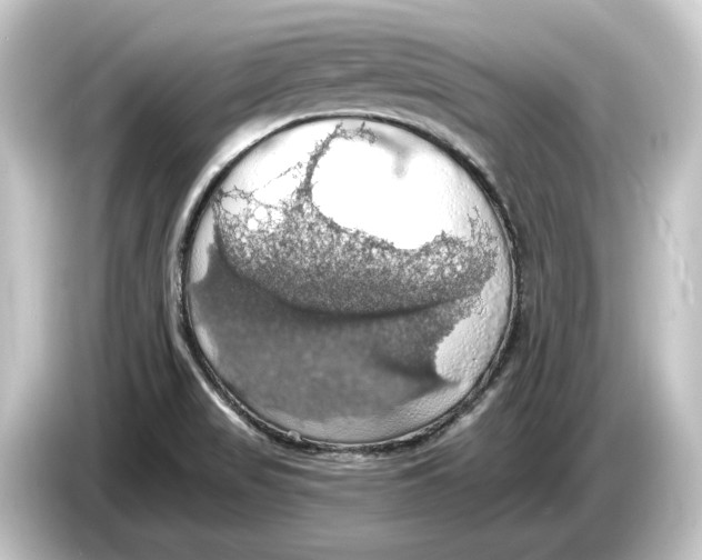 X0000084531517200703161557