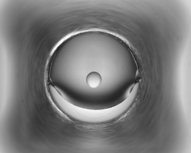 X0000084531518200703161557