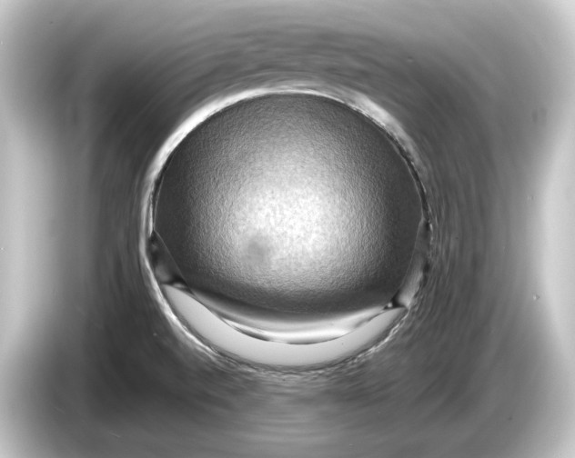 X0000084531520200703161557