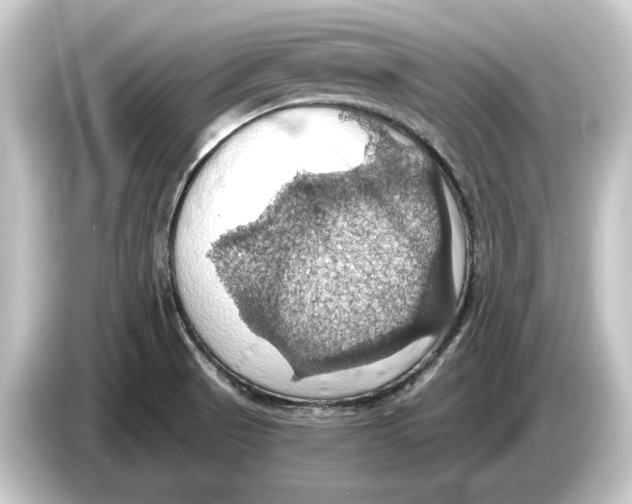 X0000084531521200703161557