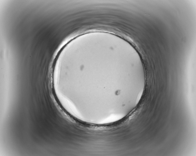 X0000084531522200703161557