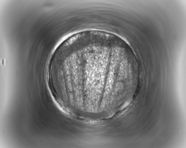 X0000084531523200703161557