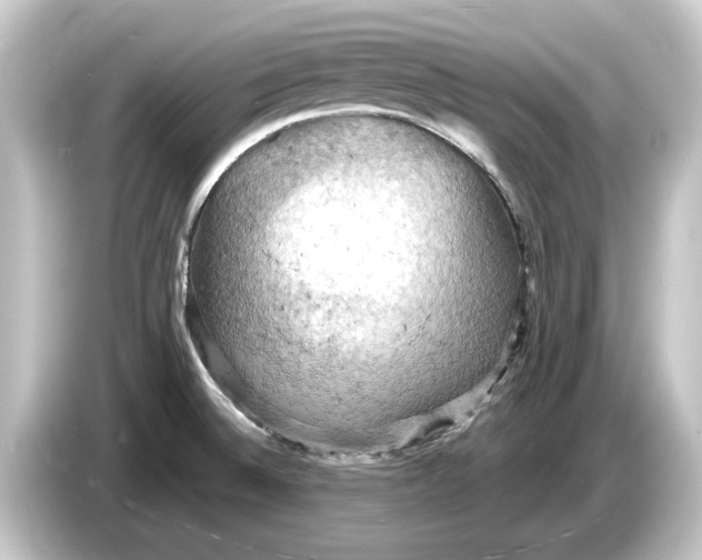 X0000084531524200703161557