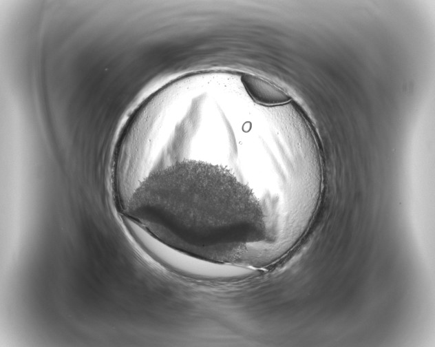 X0000084531525200703161557