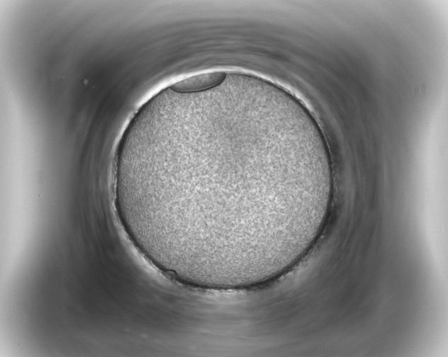 X0000084531526200703161557