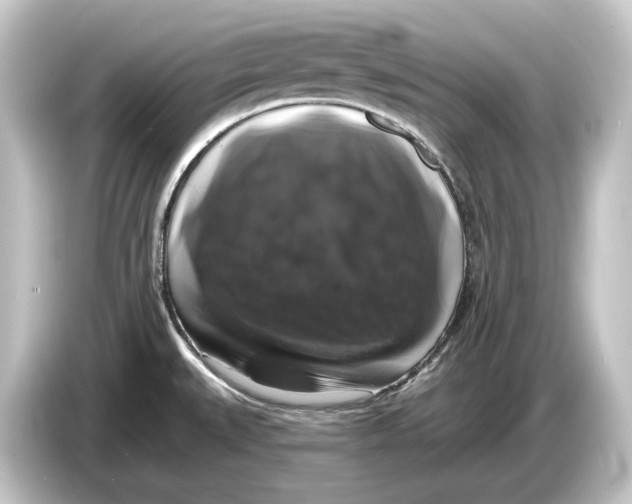 X0000084531527200703161557