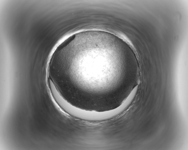 X0000084531528200703161557