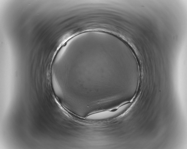 X0000084531529200703161557