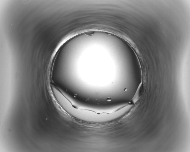 X0000084531530200703161557