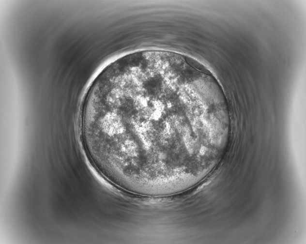 X0000084531531200703161557