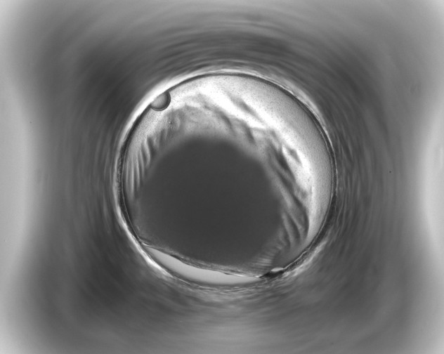 X0000084531533200703161557