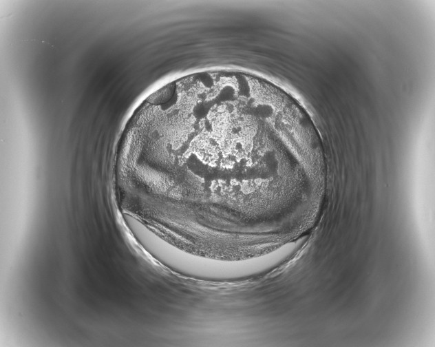 X0000084531534200703161557