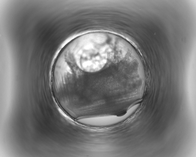 X0000084531535200703161557