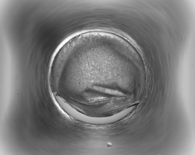 X0000084531536200703161557