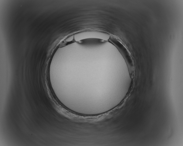 X0000084530001200703231702