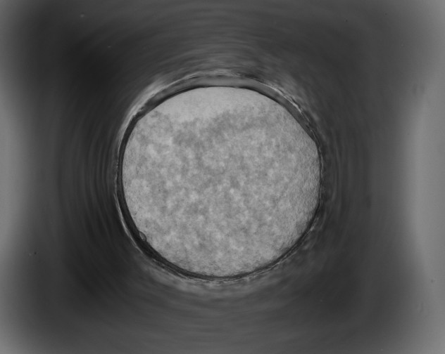 X0000084530003200703231702