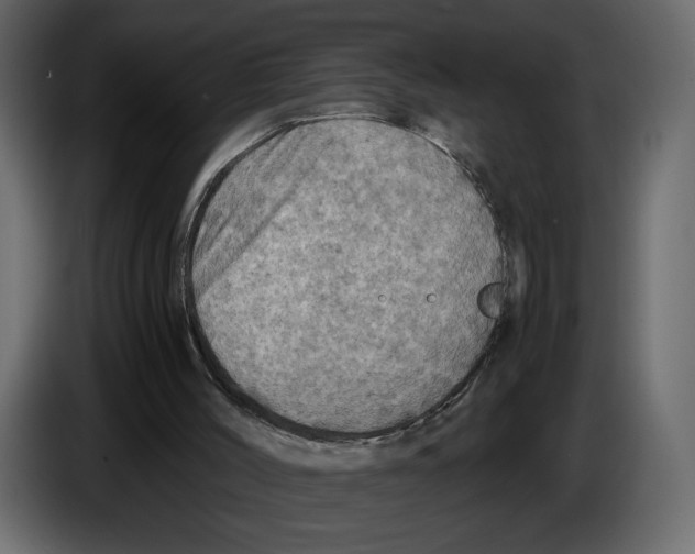X0000084530004200703231702