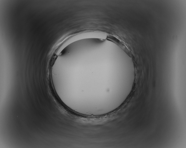 X0000084530005200703231702