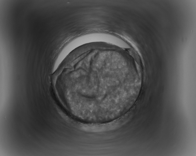 X0000084530009200703231702