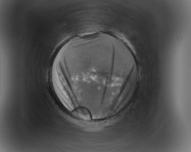 X0000084530010200703231702