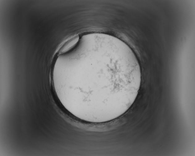 X0000084530011200703231702