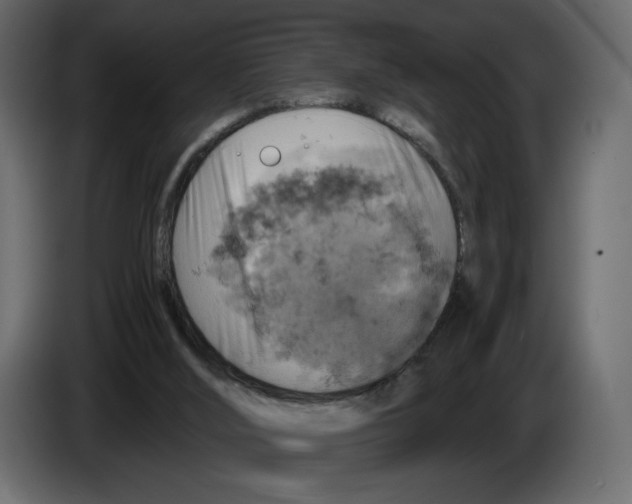 X0000084530012200703231702