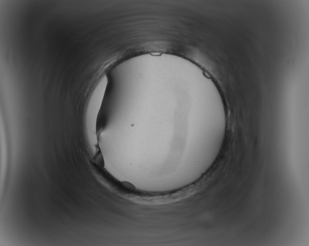 X0000084530013200703231702