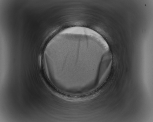X0000084530014200703231702