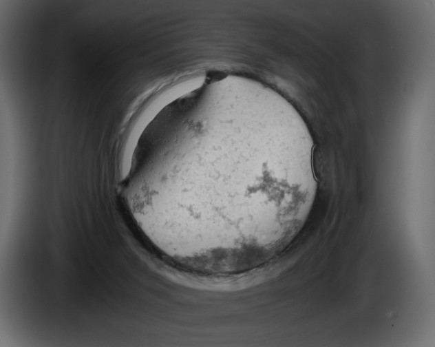 X0000084530015200703231702