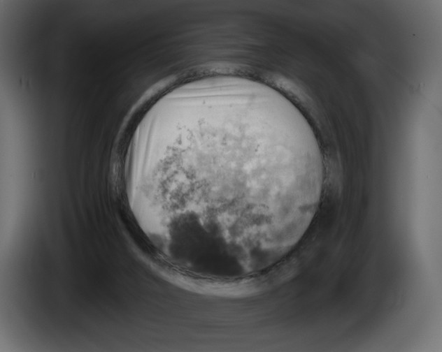 X0000084530016200703231702