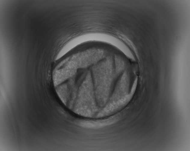 X0000084530017200703231702