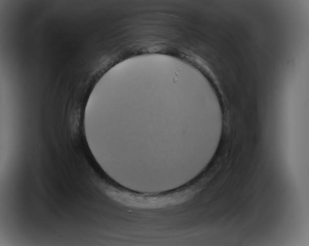X0000084530018200703231702