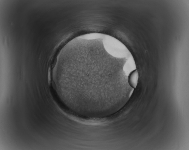 X0000084530020200703231702