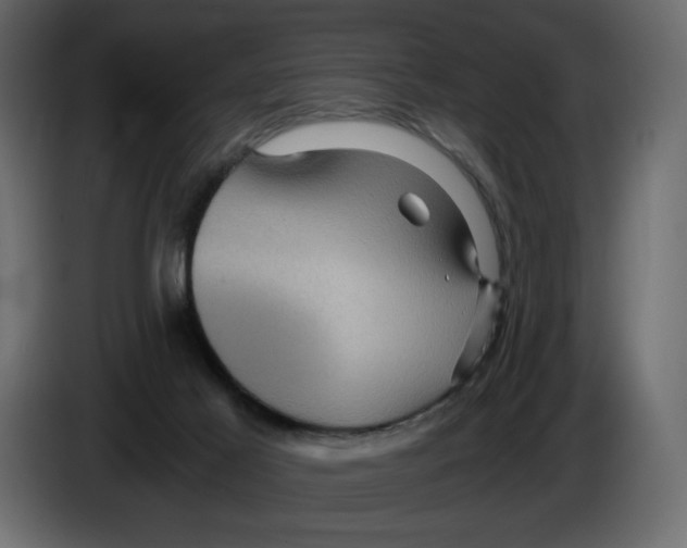 X0000084530021200703231702