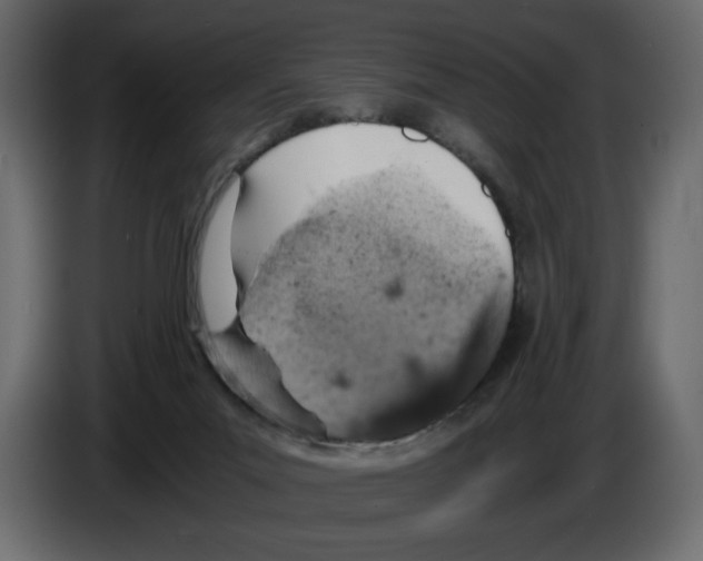 X0000084530023200703231702