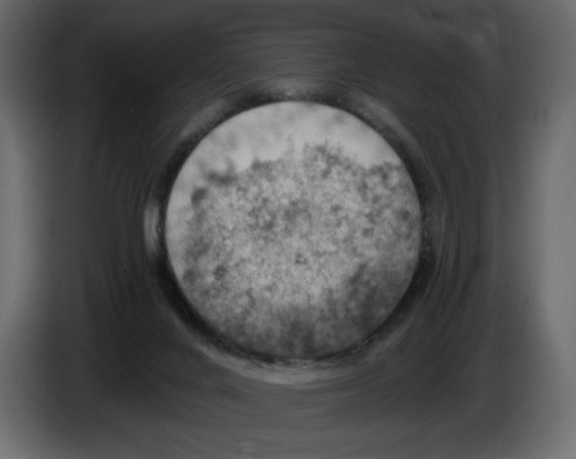 X0000084530024200703231702