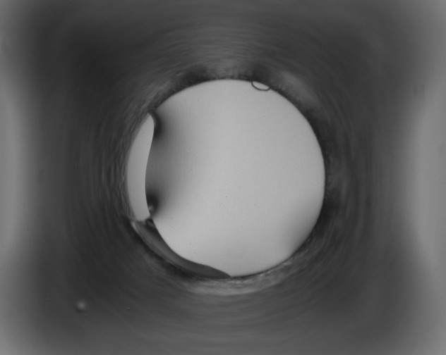 X0000084530025200703231702