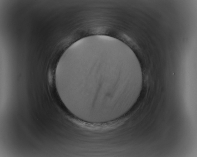 X0000084530026200703231702