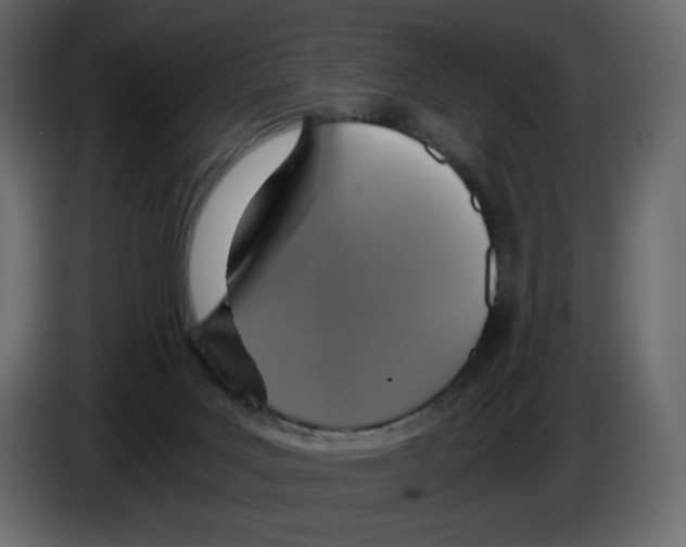 X0000084530027200703231702