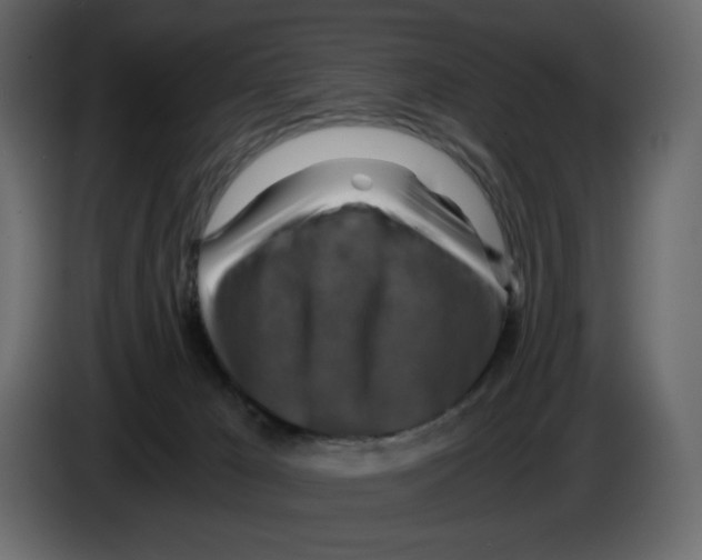 X0000084530029200703231702