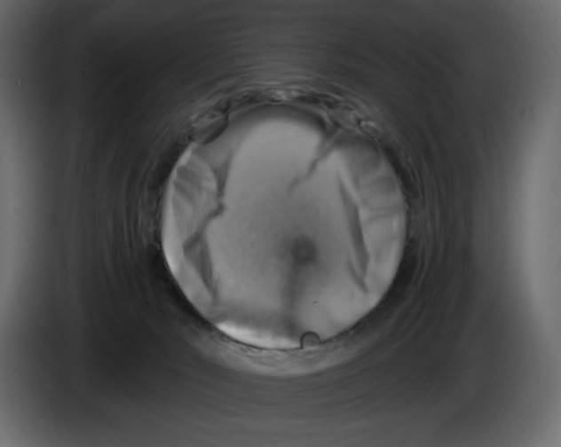 X0000084530030200703231702