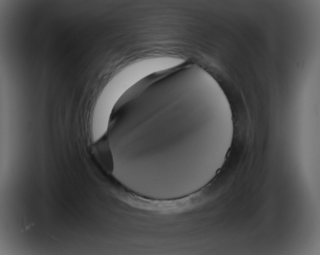 X0000084530031200703231702