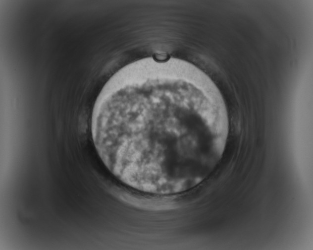 X0000084530032200703231702
