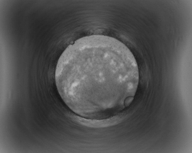 X0000084530034200703231702
