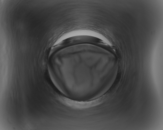 X0000084530039200703231702