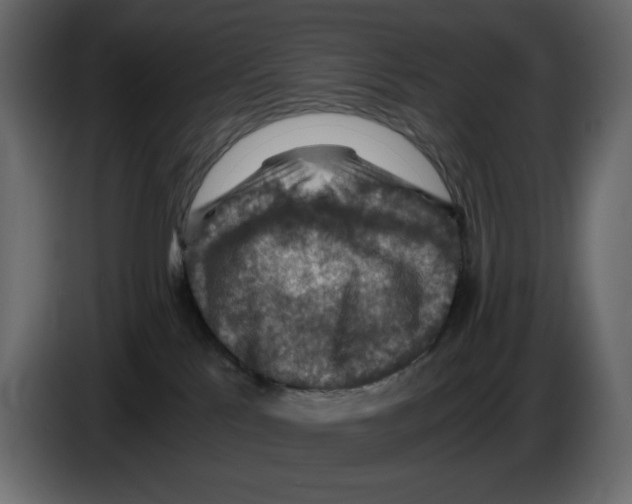 X0000084530041200703231702