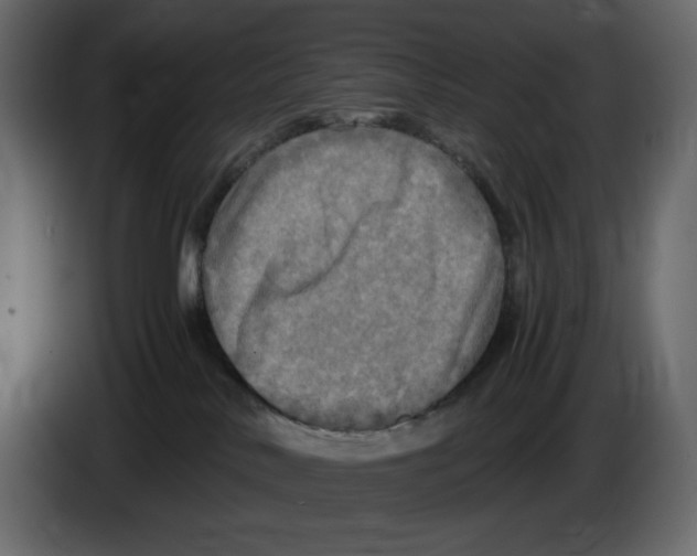 X0000084530042200703231702