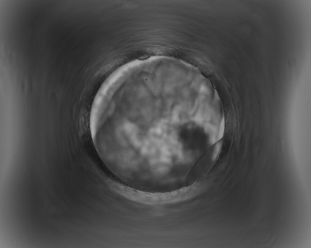 X0000084530043200703231702