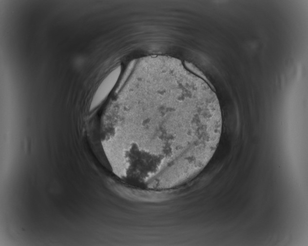 X0000084530044200703231702