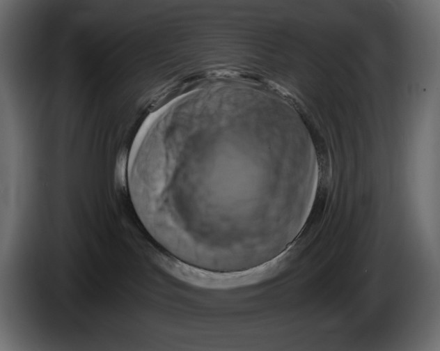 X0000084530047200703231702